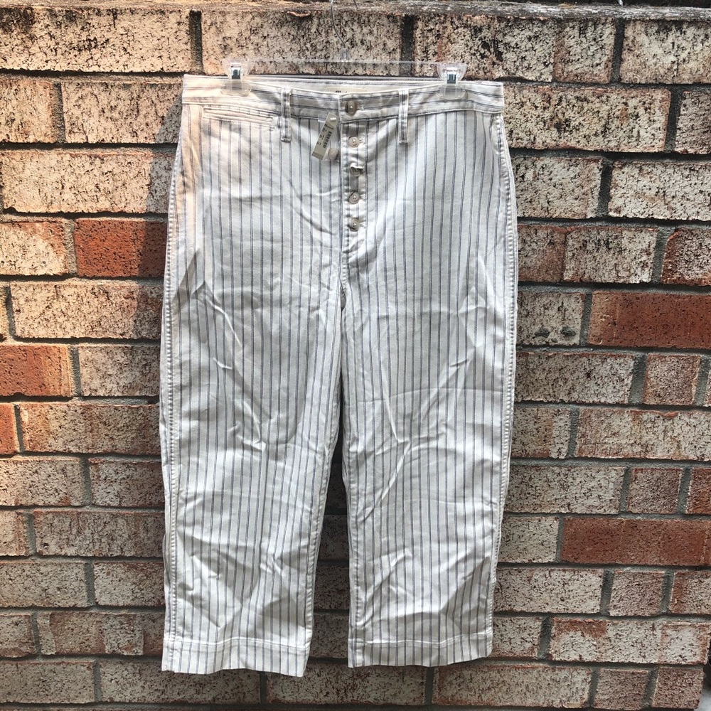 Madewell Slim Emmet Wide Leg Crop Pants NWT